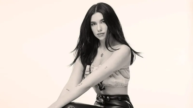 Dua Lipa Theme Preview Image