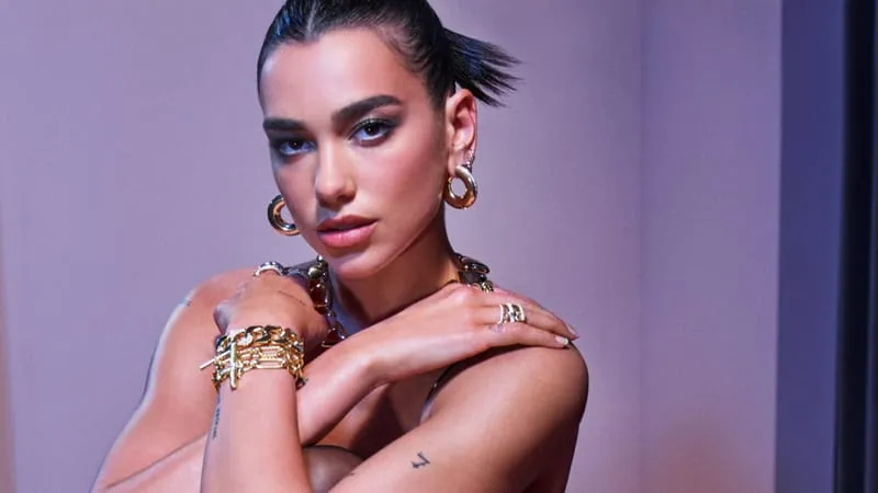 Dua Lipa Theme Preview Image
