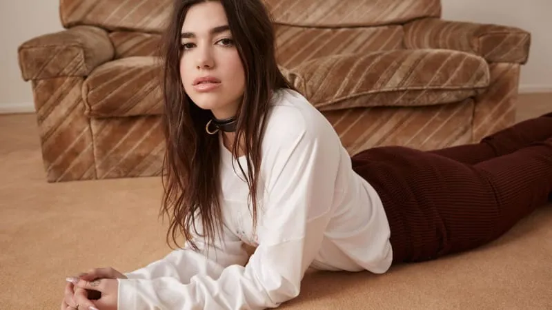Dua Lipa Theme Preview Image