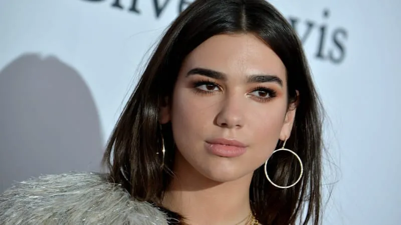 Dua Lipa Theme Preview Image