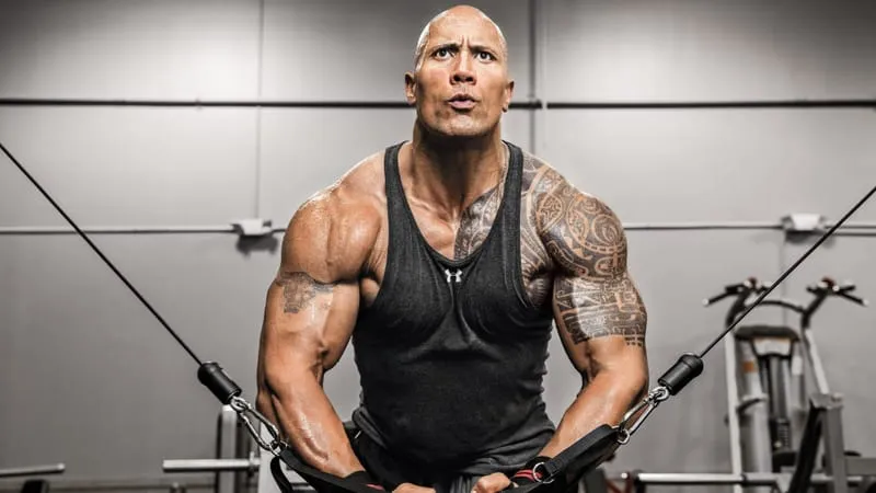 Dwayne Johnson Theme Preview Image