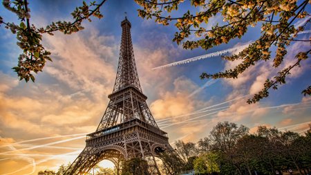 Eiffel Tower Theme Preview Image