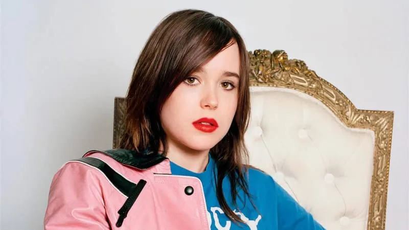 Ellen Page Theme Preview Image