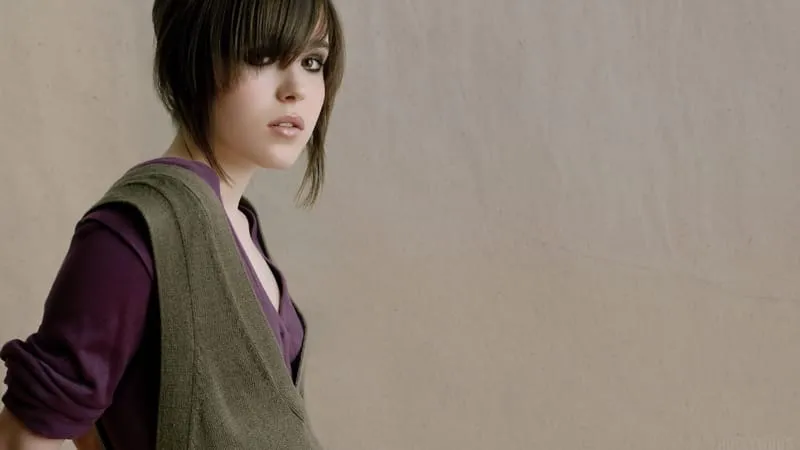 Ellen Page Theme Preview Image