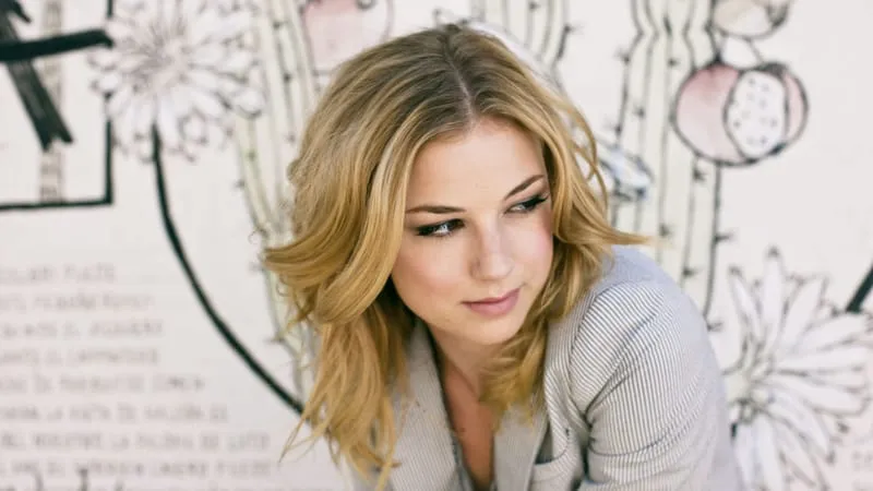 Emily VanCamp Theme Preview Image