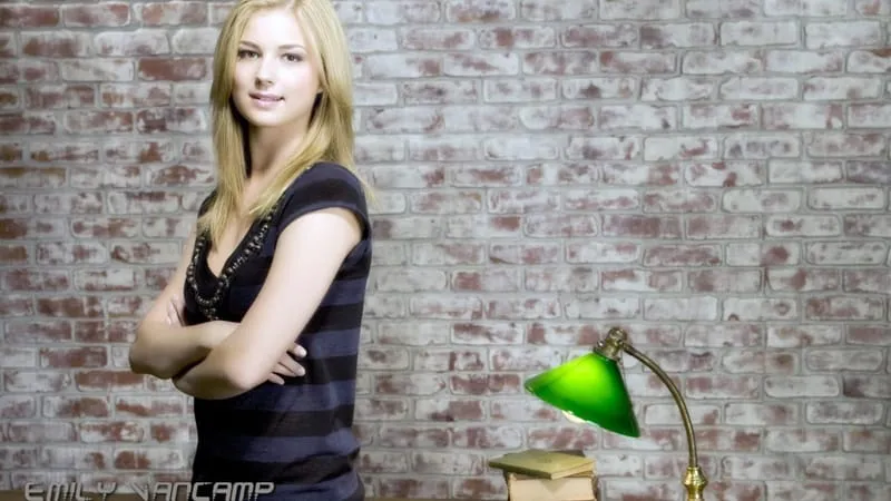 Emily VanCamp Theme Preview Image