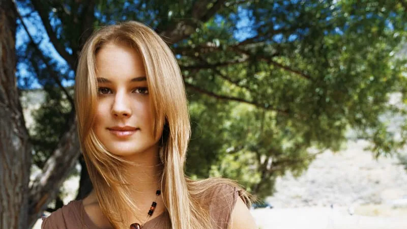 Emily VanCamp Theme Preview Image