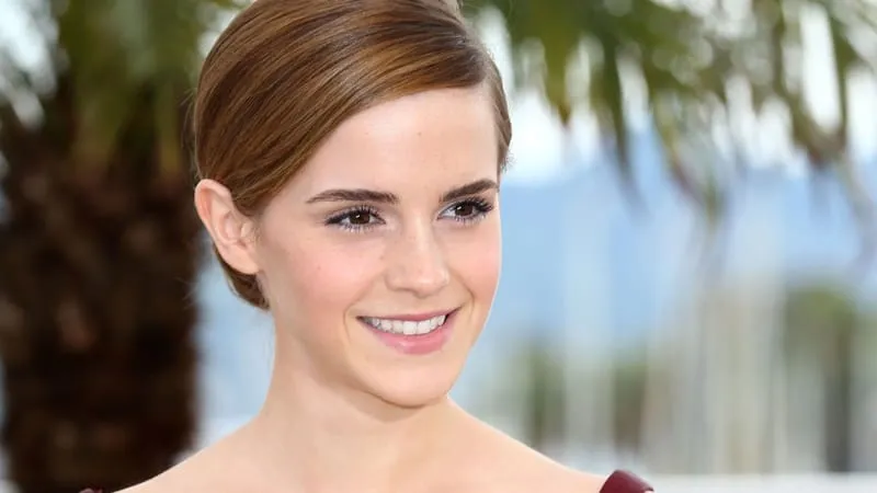 Emma Watson Theme Preview Image
