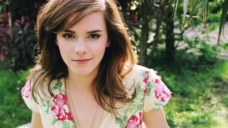 Emma Watson Theme Preview Image