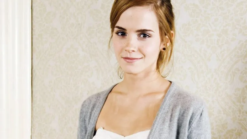 Emma Watson Theme Preview Image