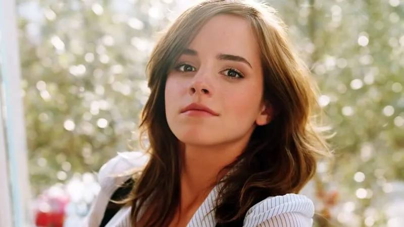 Emma Watson Theme Preview Image