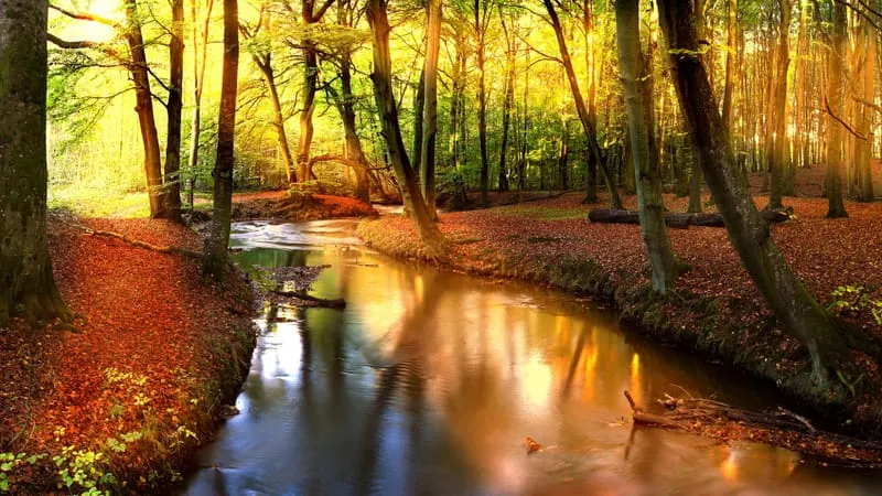 Fall V 2 Theme Preview Image