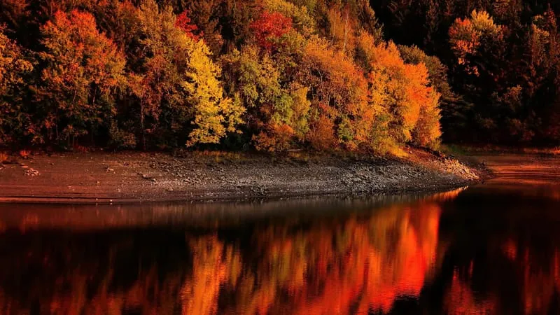 Fall V 2 Theme Preview Image