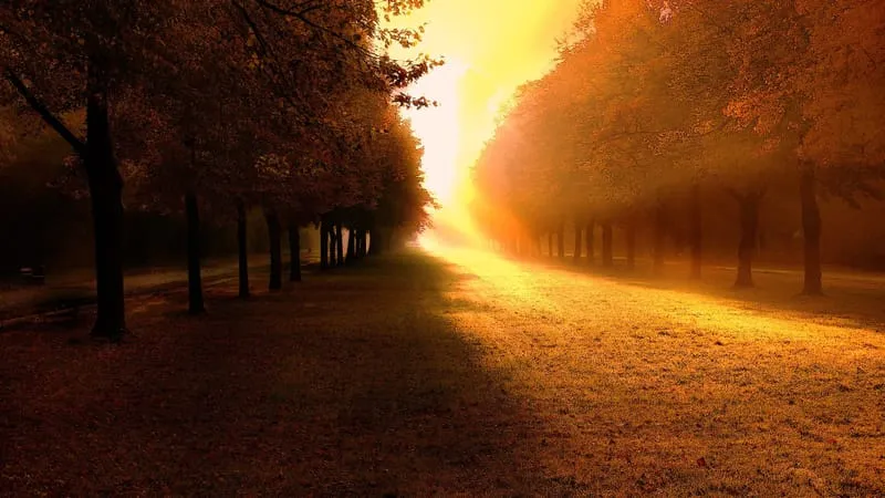 Fall V 2 Theme Preview Image