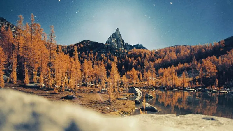 Fall V 2 Theme Preview Image