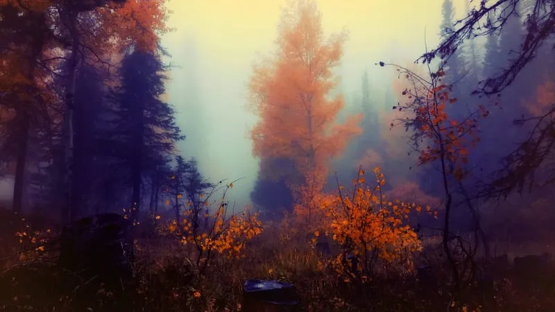 Fall V 2 Theme Preview Image