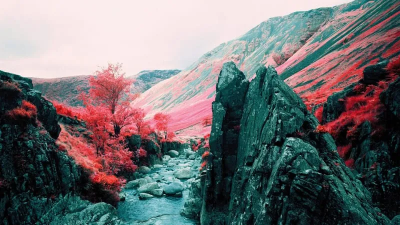 Fall V 2 Theme Preview Image