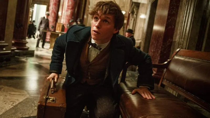 Fantastic Beasts And Where To Find Them Theme Preview Image