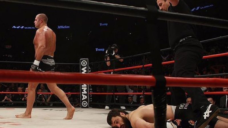 Fedor Emelianenko Theme Preview Image