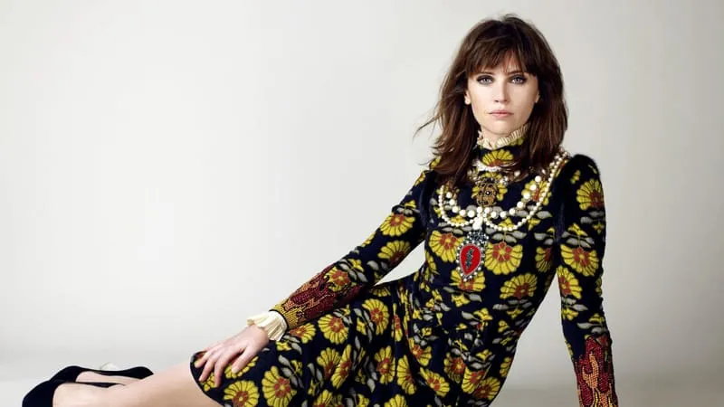 Felicity Jones Theme Preview Image