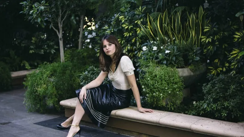 Felicity Jones Theme Preview Image