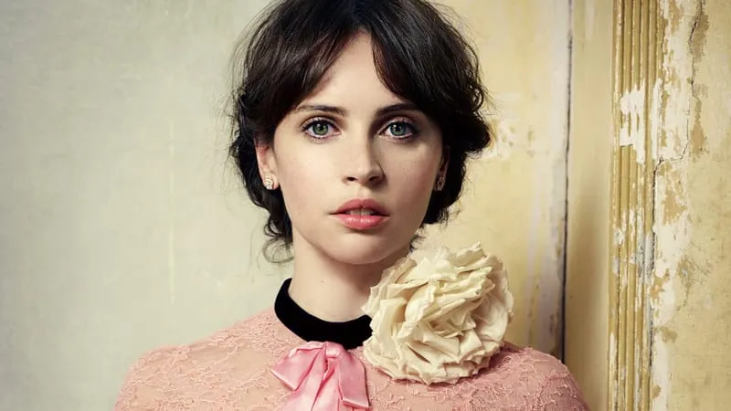 Felicity Jones Theme Preview Image