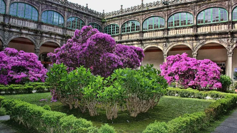 Garden Theme Preview Image