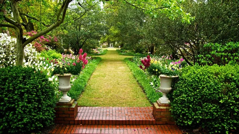 Garden Theme Preview Image