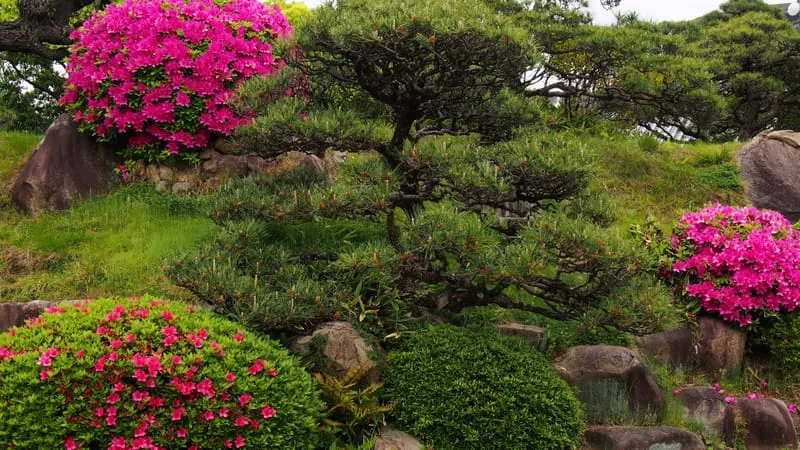 Garden Theme Preview Image