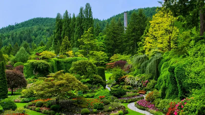 Garden Theme Preview Image