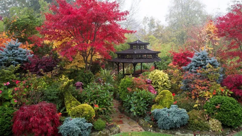 Garden Theme Preview Image