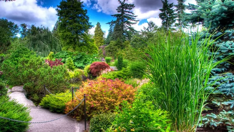 Garden Theme Preview Image