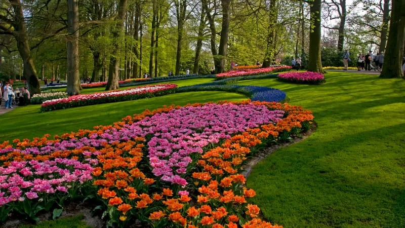 Garden Theme Preview Image