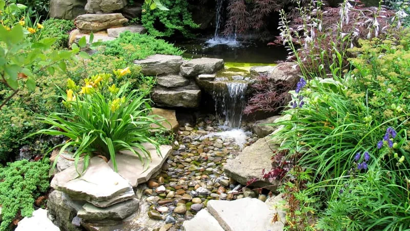 Garden Theme Preview Image