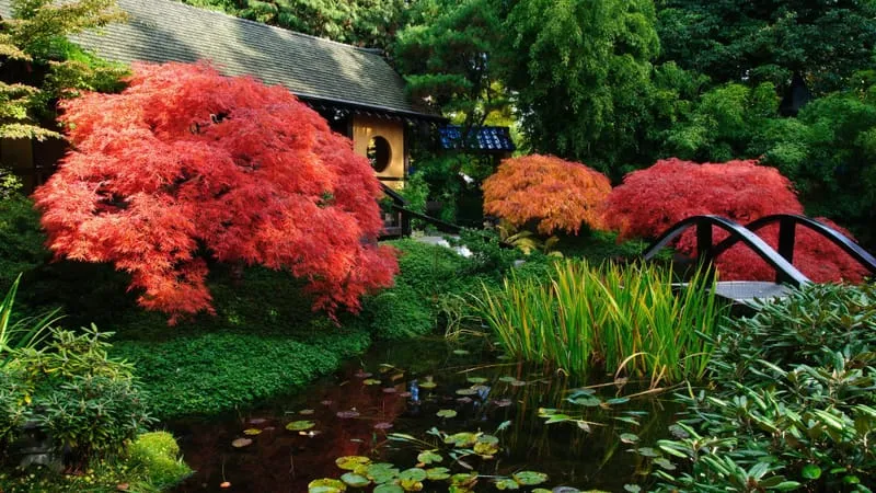 Garden Theme Preview Image