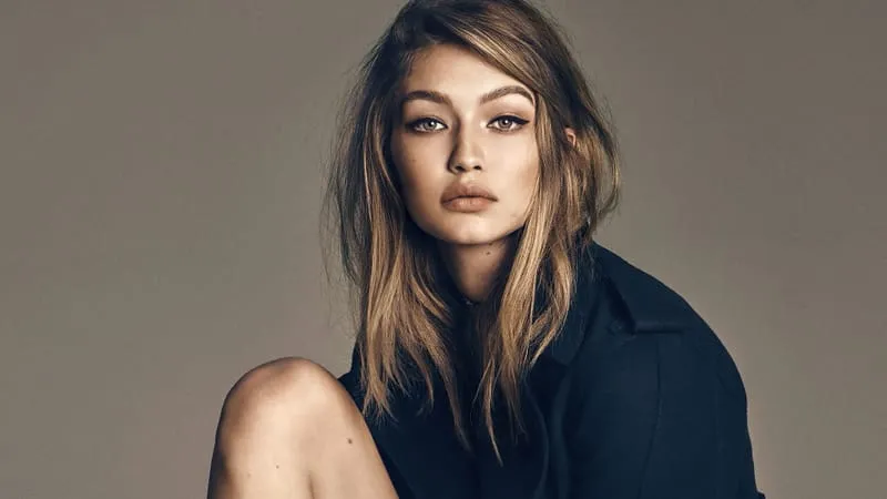 Gigi Hadid Theme Preview Image