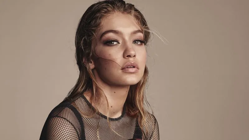Gigi Hadid Theme Preview Image