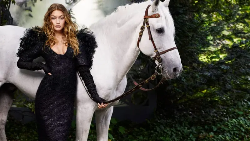 Gigi Hadid Theme Preview Image