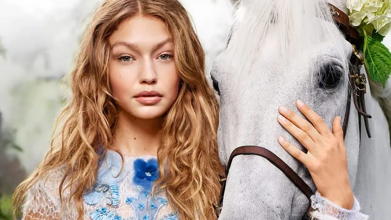 Gigi Hadid Theme Preview Image
