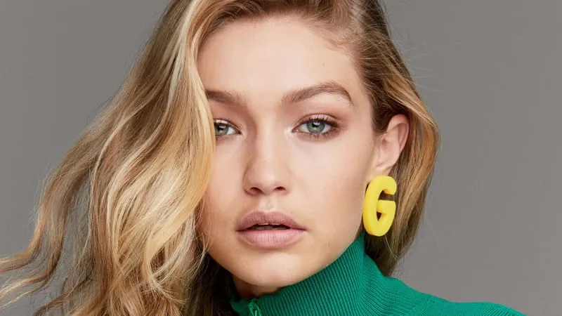Gigi Hadid Theme Preview Image