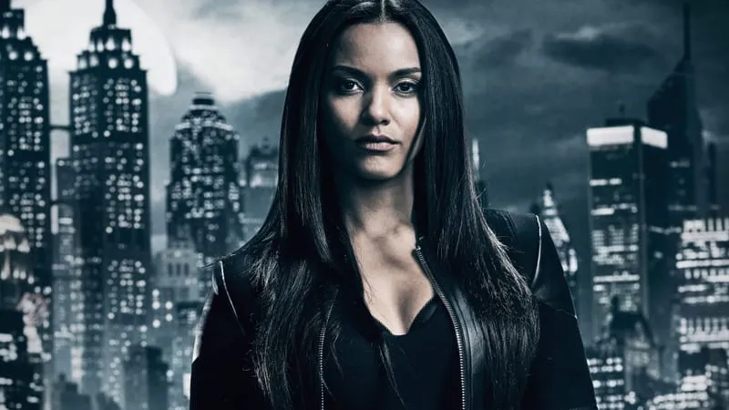 Gotham Theme Preview Image