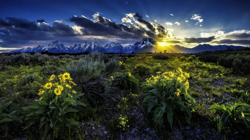 Grand Teton National Park Theme Preview Image