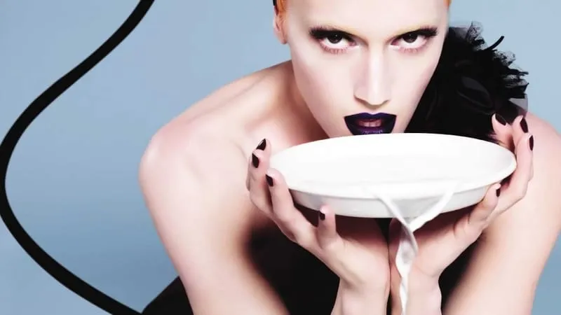 Gwen Stefani Theme Preview Image