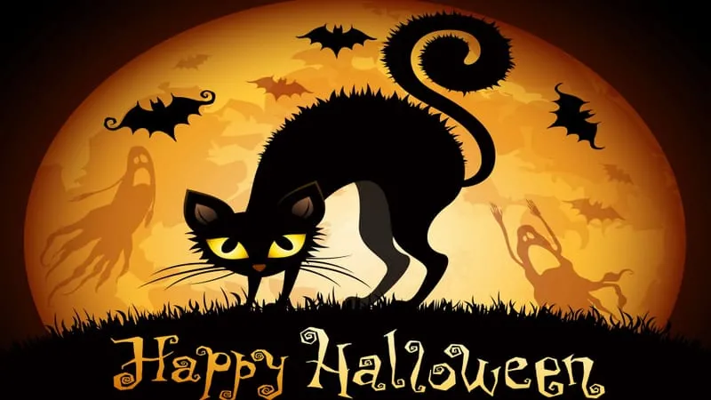 Halloween 2021 Theme Preview Image