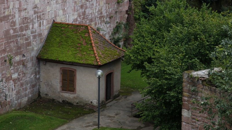 Heidelberg Castle Theme Preview Image