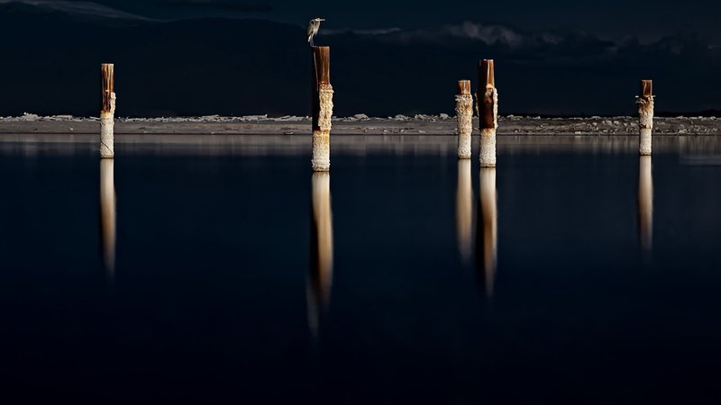 Heron Theme Preview Image