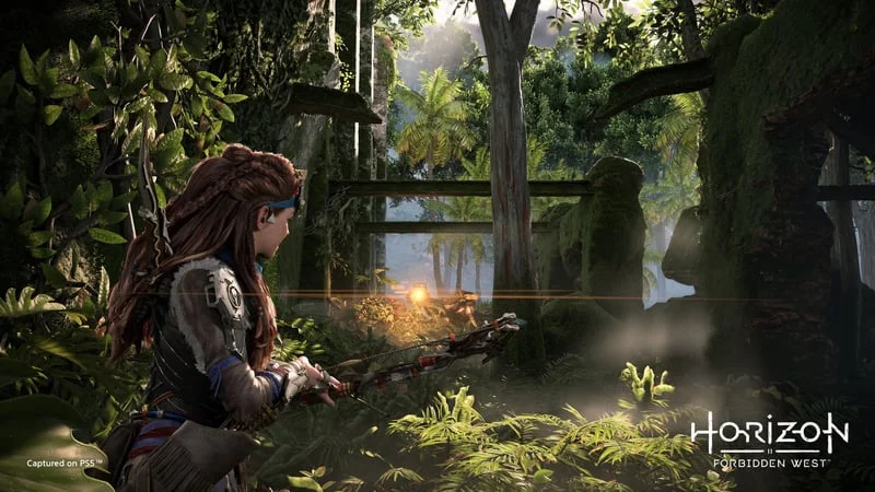 Horizon Forbidden West Theme Preview Image