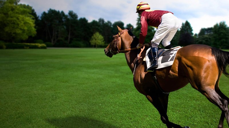 Horse Racing Theme Preview Image