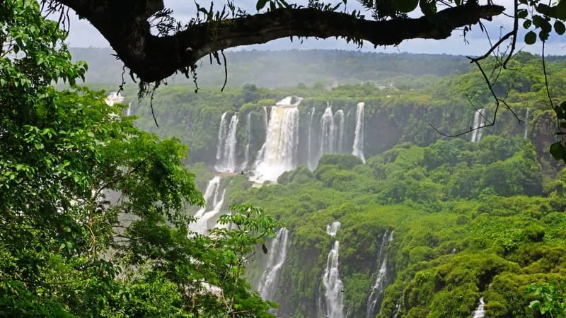 Iguazu Falls Theme Preview Image