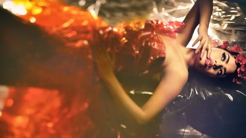 Indian Models Theme Preview Image